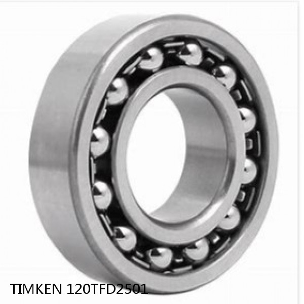 120TFD2501 TIMKEN Double Row Double Row Bearings