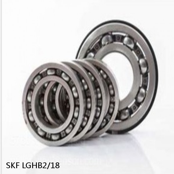 LGHB2/18 SKF Bearings Grease