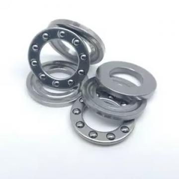 INA SL045032-D-PP CylindricalRollerBearings