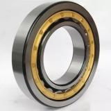 300 mm x 500 mm x 160 mm  SKF 23160CC/C3W33 SphericalRollerBearing