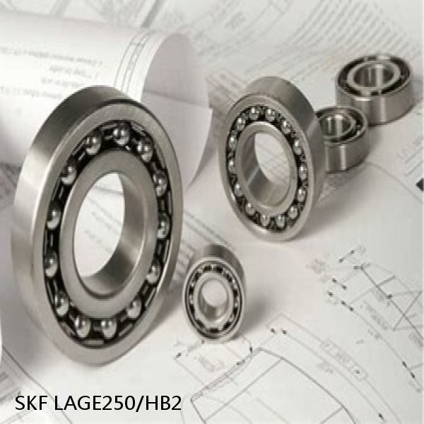 LAGE250/HB2 SKF Bearings Grease