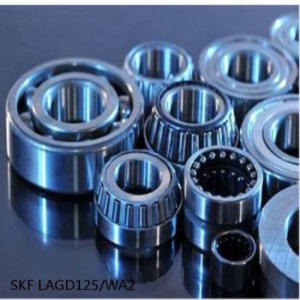 LAGD125/WA2 SKF Bearings Grease